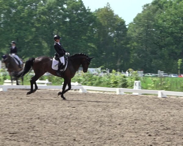 Reitturnier Alvern 2022