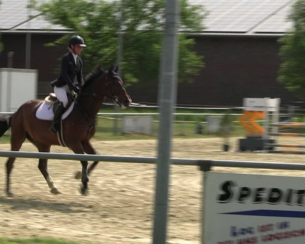 Reitturnier Coesfeld/Lette 2022