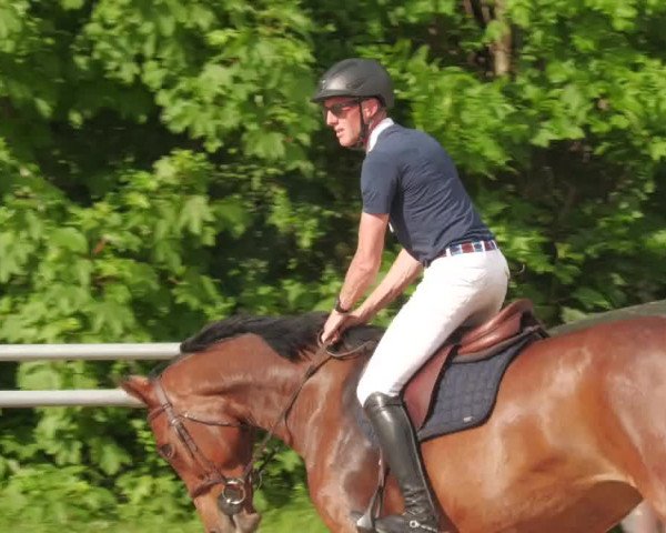 Reitturnier Winnenden 2022