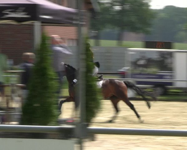 Reitturnier Coesfeld/Lette 2022