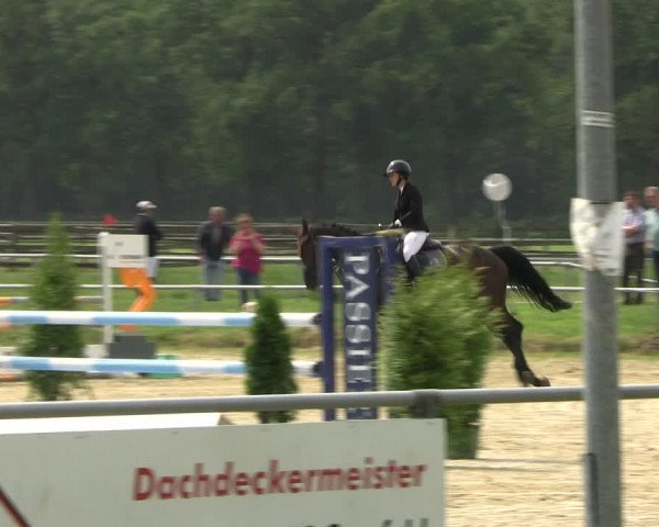 Reitturnier Coesfeld/Lette 2022
