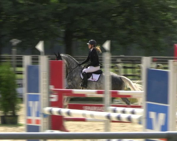Reitturnier Coesfeld/Lette 2022