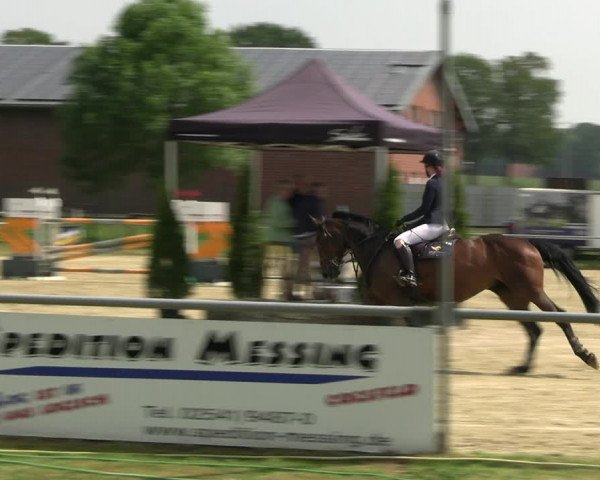 Reitturnier Coesfeld/Lette 2022