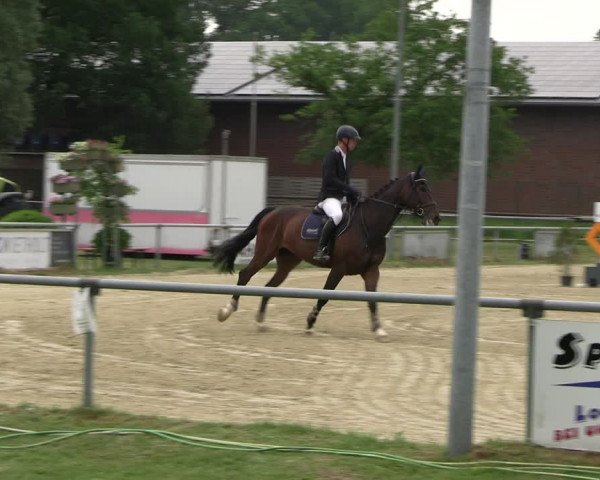 Reitturnier Coesfeld/Lette 2022
