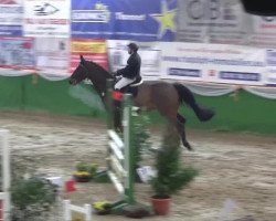 Cavallo da salto Oggy L (Hannoveriano, 1998, di Chasseur I)