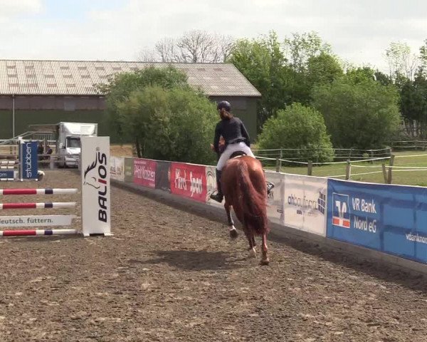 Reitturnier Kleinsolt 2022