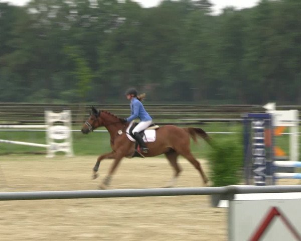 Reitturnier Coesfeld/Lette 2022