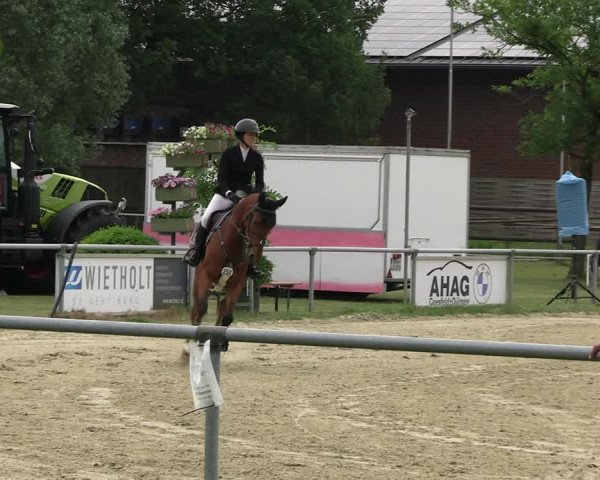 Reitturnier Coesfeld/Lette 2022