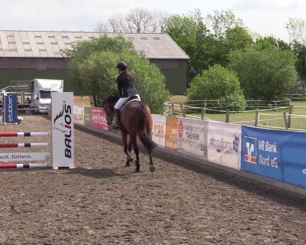 Reitturnier Kleinsolt 2022