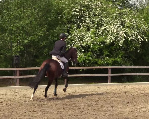 Reitturnier Kleinsolt 2022