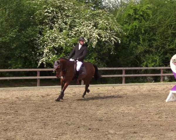 Reitturnier Kleinsolt 2022