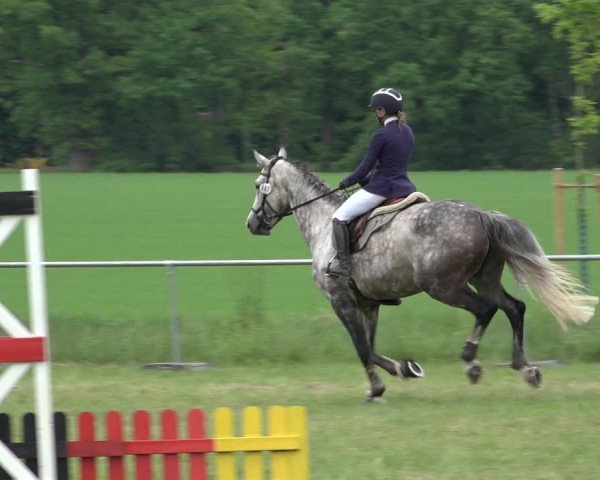 Reitturnier Alvern 2022