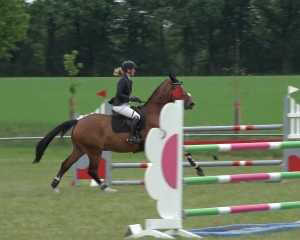 Reitturnier Alvern 2022