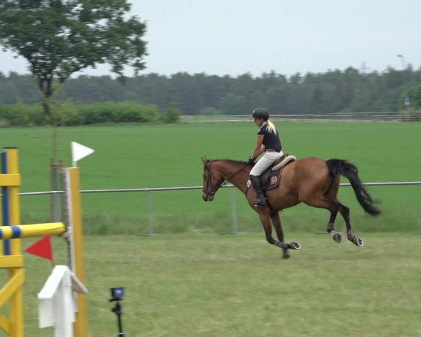 Reitturnier Alvern 2022