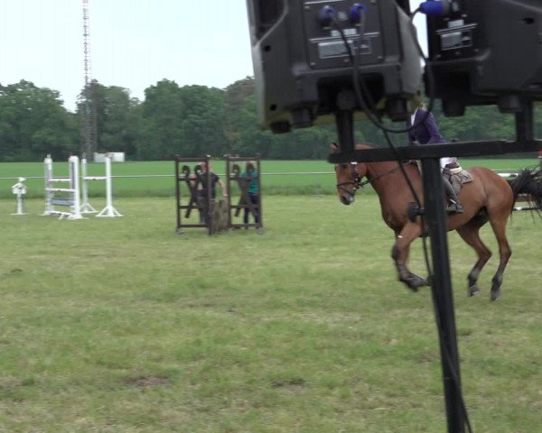 Reitturnier Alvern 2022