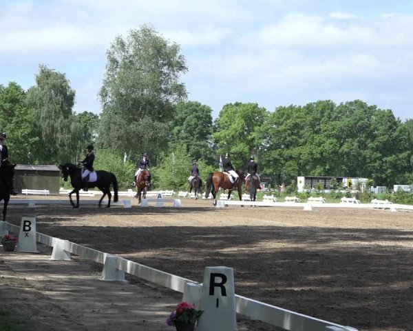 Reitturnier Alvern 2022