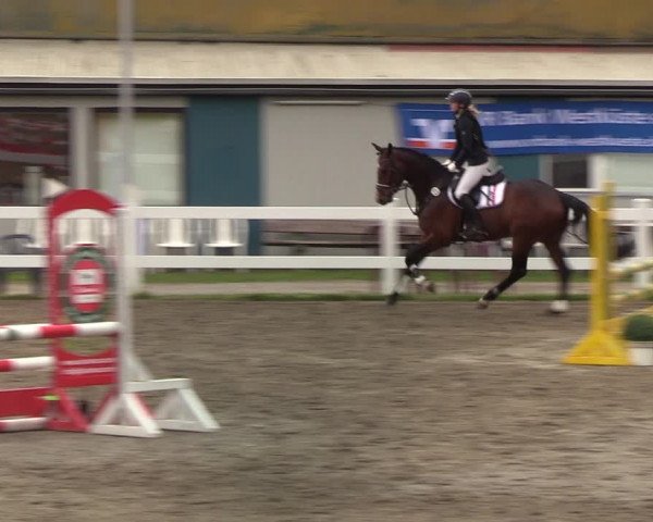 Reitturnier Mildstedt 2022