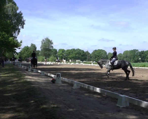 Reitturnier Alvern 2022