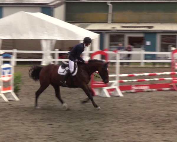 Reitturnier Mildstedt 2022