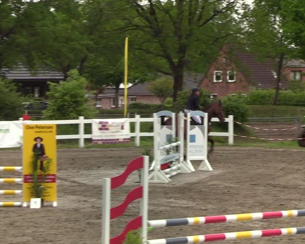 Reitturnier Mildstedt 2022