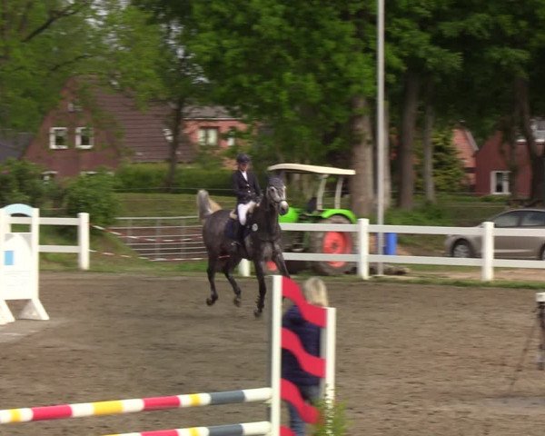 Reitturnier Mildstedt 2022