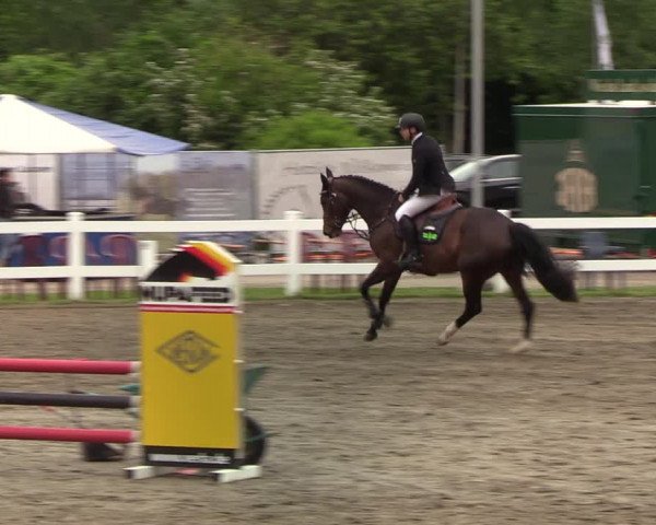 Reitturnier Mildstedt 2022