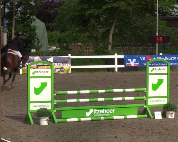 Reitturnier Mildstedt 2022