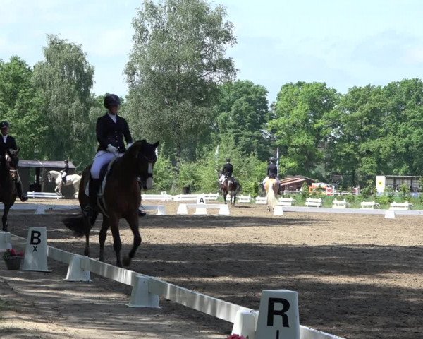 Reitturnier Alvern 2022