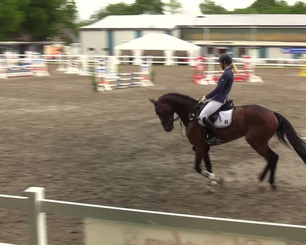 Reitturnier Mildstedt 2022