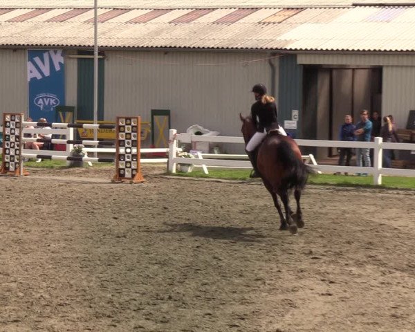 Reitturnier Mildstedt 2022