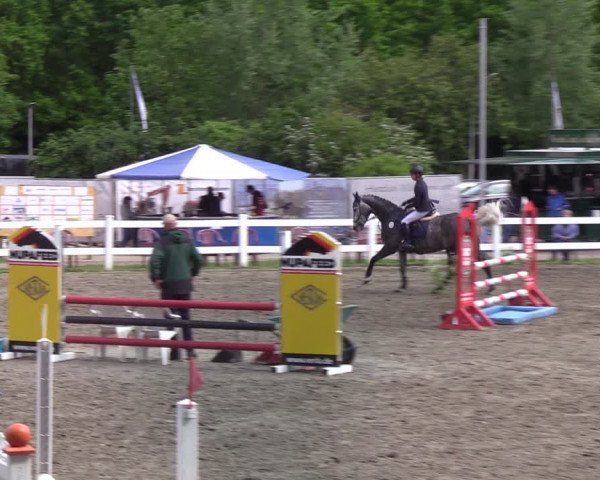 Reitturnier Mildstedt 2022