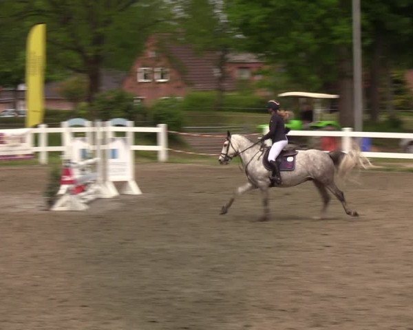 Reitturnier Mildstedt 2022
