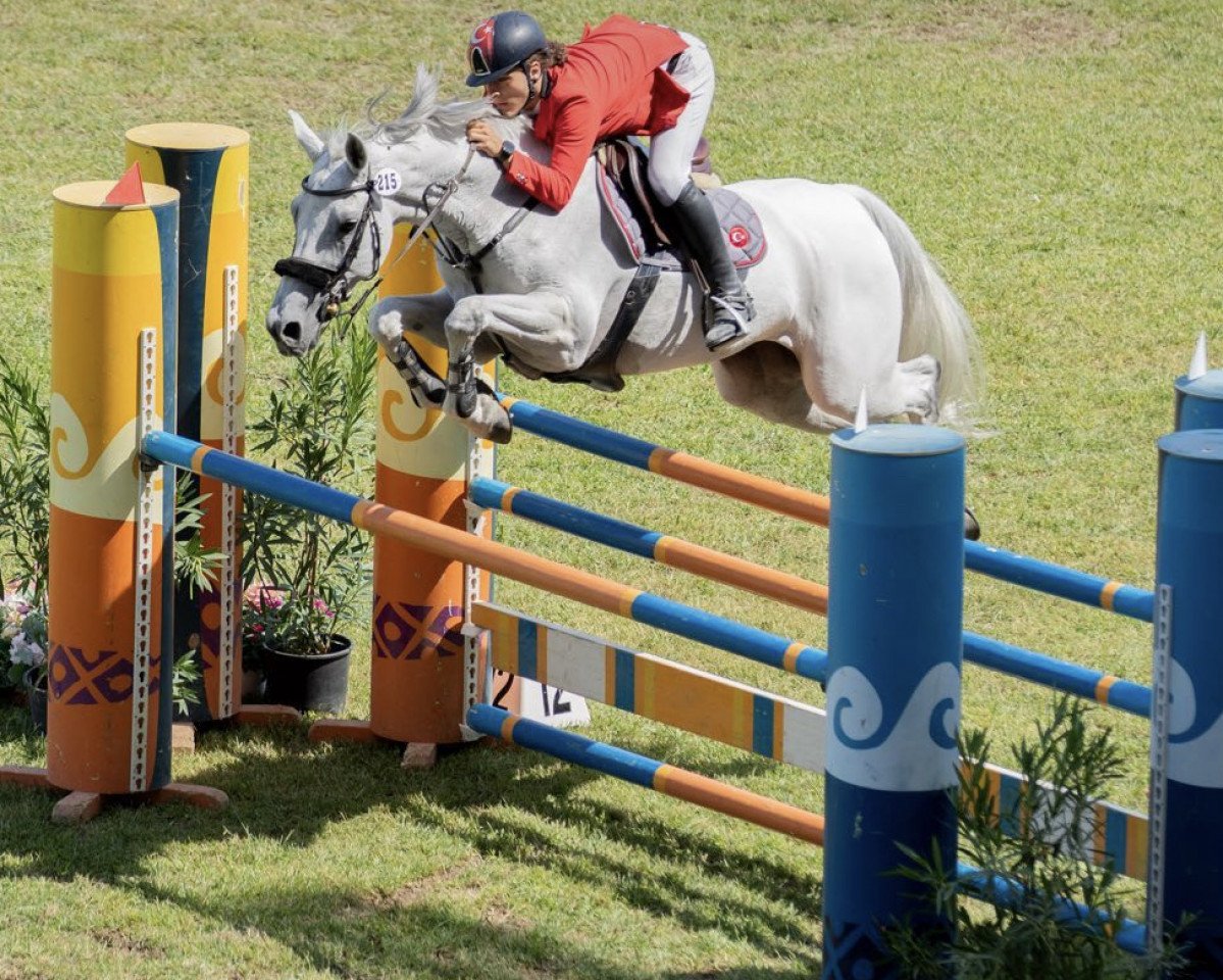 broodmare Questombra Dell'Armonia (Sella Italiano, 2010, from Berlin)