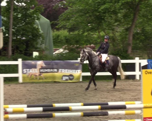 Reitturnier Mildstedt 2022