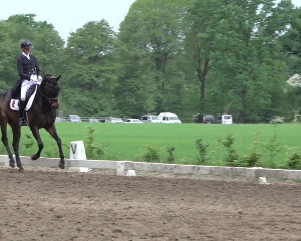 Reitturnier Alvern 2022