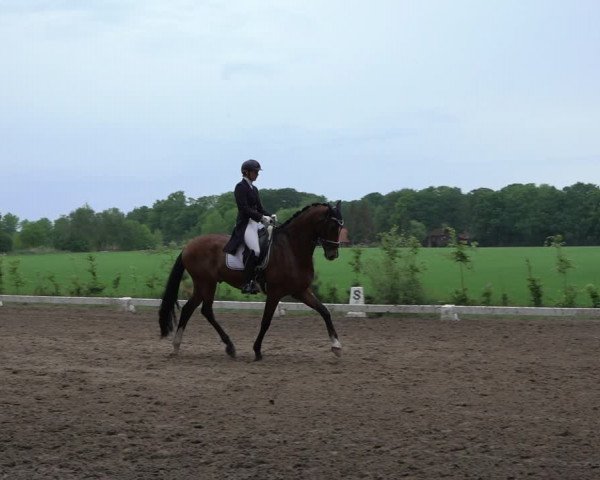 Reitturnier Alvern 2022