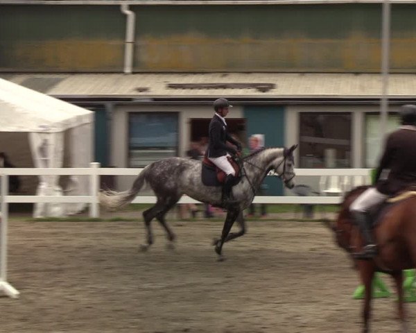 Reitturnier Mildstedt 2022