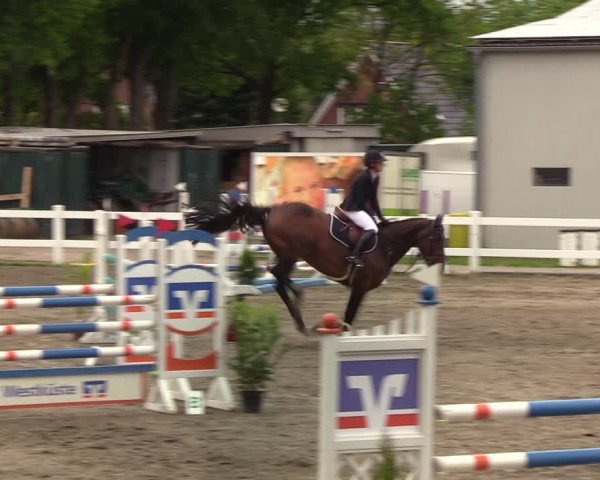 Reitturnier Mildstedt 2022