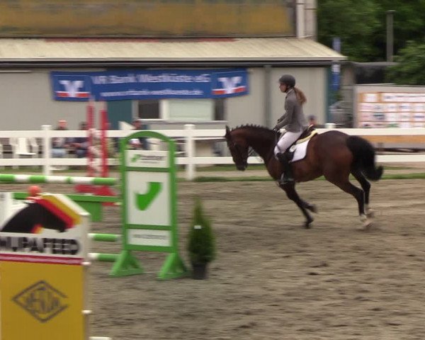 Reitturnier Mildstedt 2022