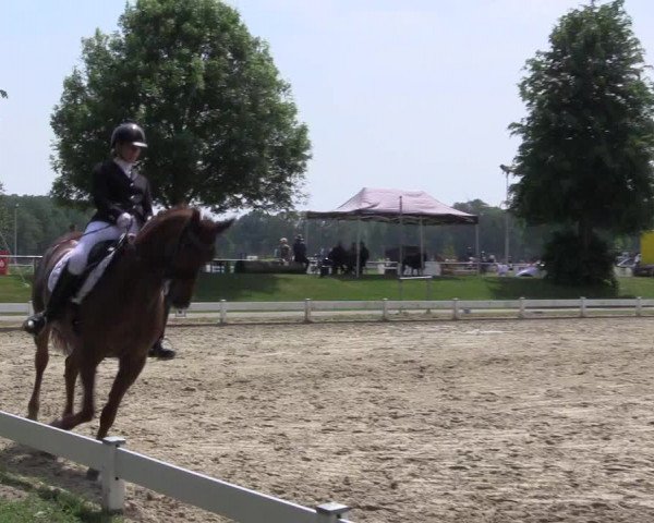 Reitturnier Coesfeld/Lette 2022