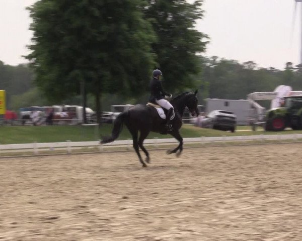 Reitturnier Coesfeld/Lette 2022