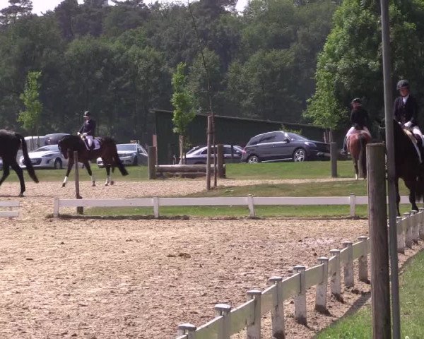 Reitturnier Coesfeld/Lette 2022