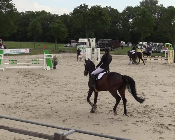 Reitturnier Nienberge-Schonebeck, Reitanlage Geßmann 2022