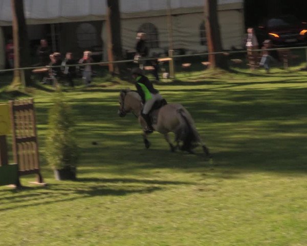 Reitturnier Helmsdorf 2022