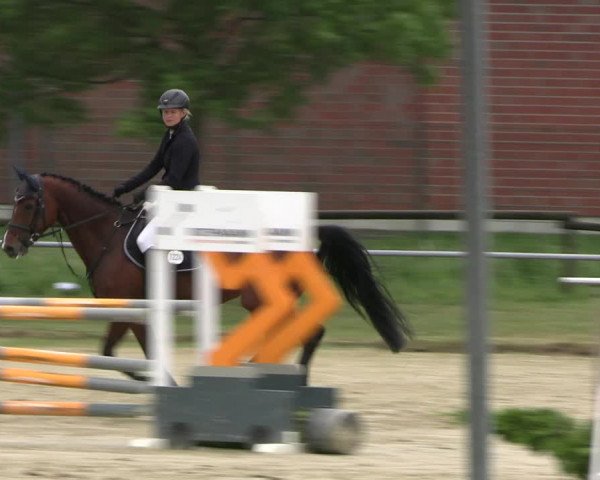 Reitturnier Coesfeld/Lette 2022