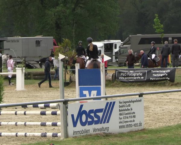 Reitturnier Coesfeld/Lette 2022