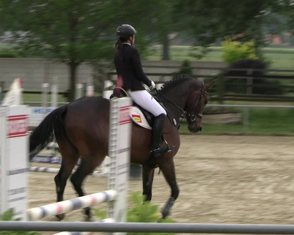 Reitturnier Coesfeld/Lette 2022