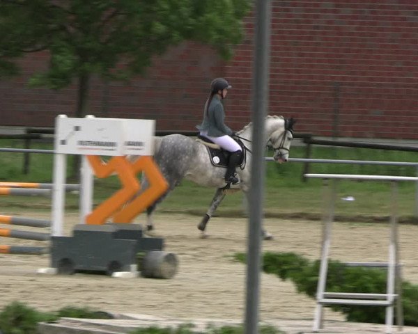 Reitturnier Coesfeld/Lette 2022