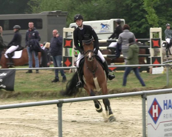 Reitturnier Coesfeld/Lette 2022