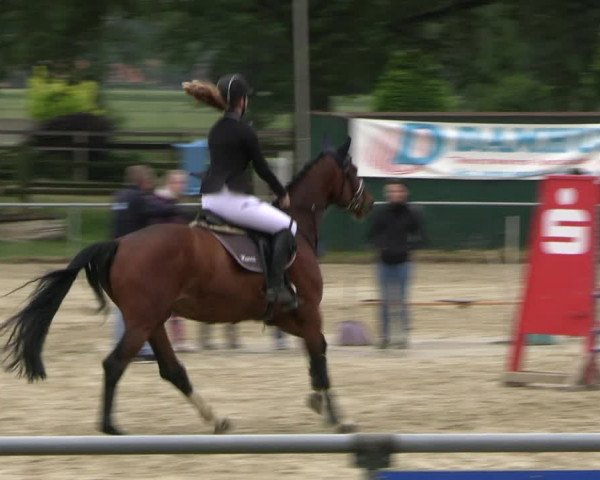 Reitturnier Coesfeld/Lette 2022